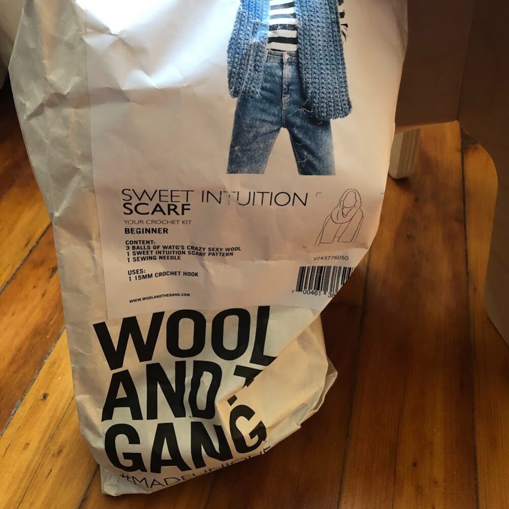 Wool and the Gang scarf kit - New, not started